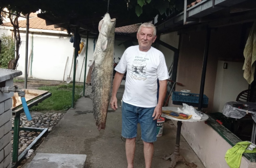 Čačak ne pamti veću ribu: Grdosija u Zapadnoj Moravi, Dragan upecao soma kapitalca od 17,5 kilograma
