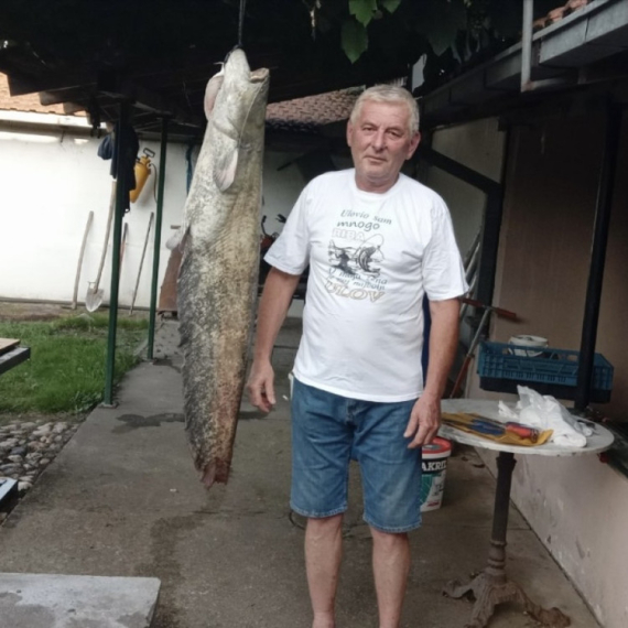 Čačak ne pamti veću ribu: Grdosija u Zapadnoj Moravi, Dragan upecao soma kapitalca od 17,5 kilograma