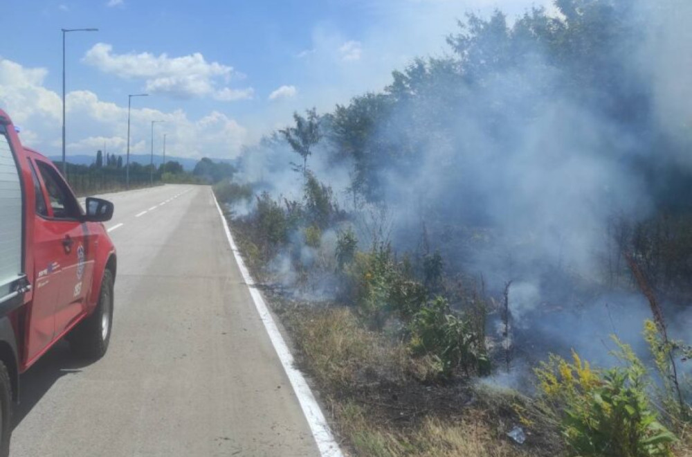 Požar u Zelenoj zoni u Leskovcu: Gorelo rastinje u blizini fabrika Aptiv i Erenli, gradske vlasti uputile apel