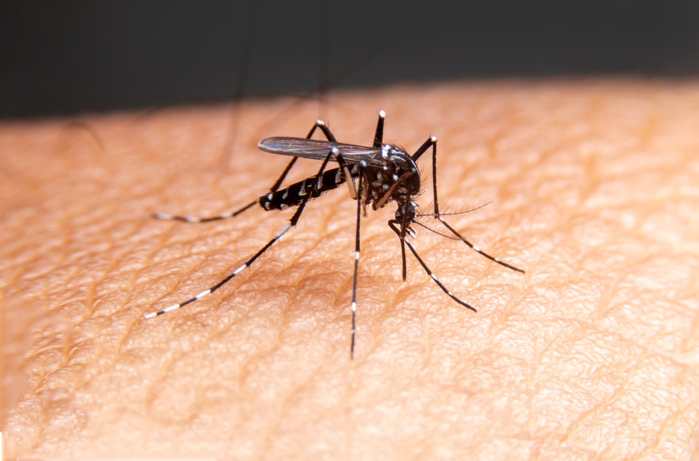 Oprez ako letujete u Grčkoj: Širi se opasan virus, sve više novih slučajeva