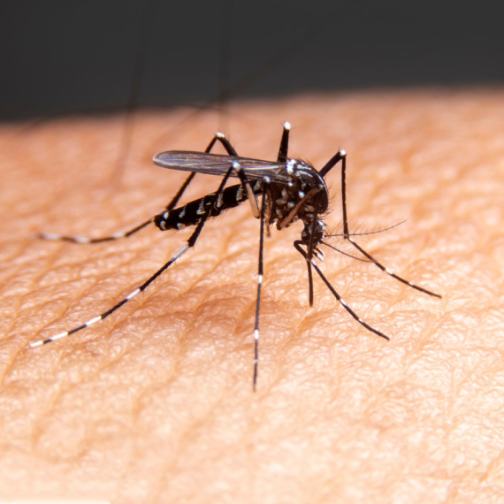 Oprez ako letujete u Grčkoj: Širi se opasan virus, sve više novih slučajeva
