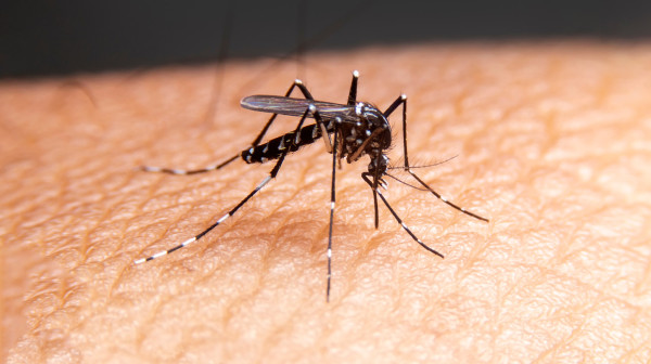 Oprez ako letujete u Grčkoj: Širi se opasan virus, sve više novih slučajeva