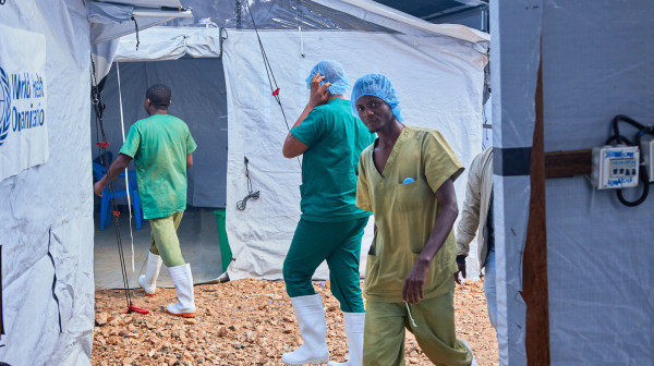 "Obim epidemije je mnogo veći"
