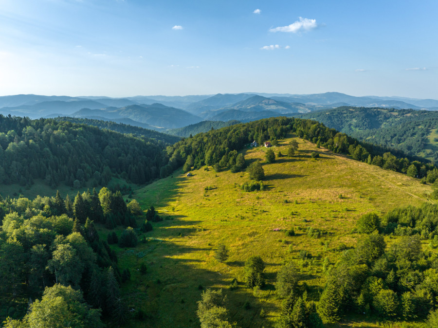Leto na planinama u Srbiji: Savršene destinacije na kojima je odmor zagarantovan