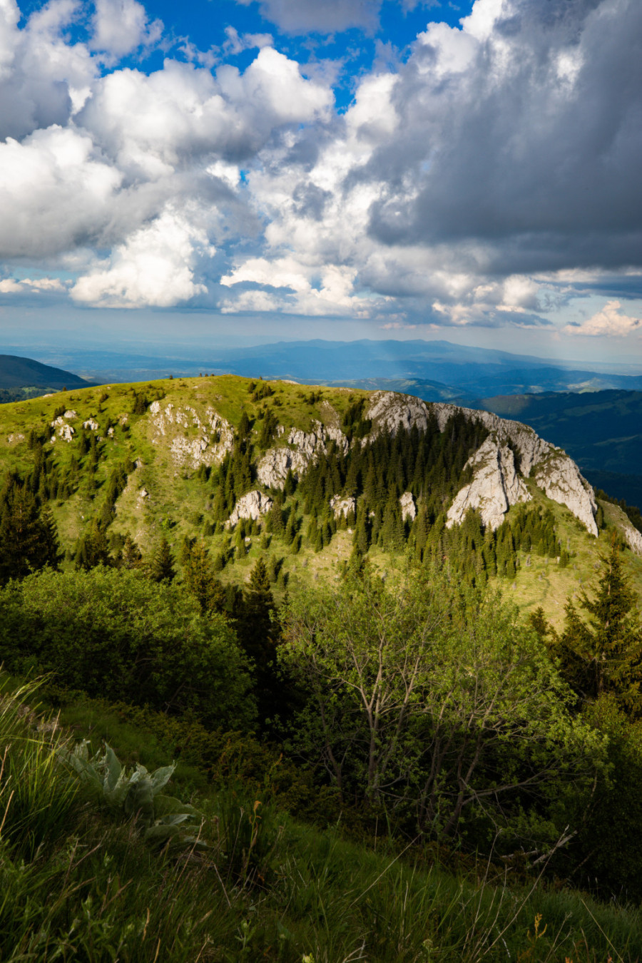 Leto na planinama u Srbiji: Savršene destinacije na kojima je odmor zagarantovan