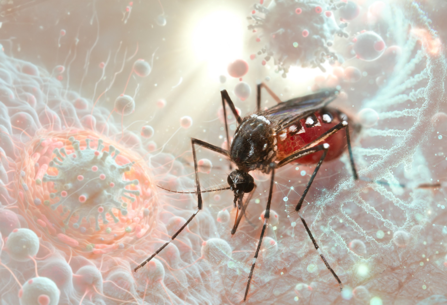 Slučaj šokirao i epidemiologa; Aleksandra Mikić zbog virusa Zapadnog Nila završila u komi VIDEO