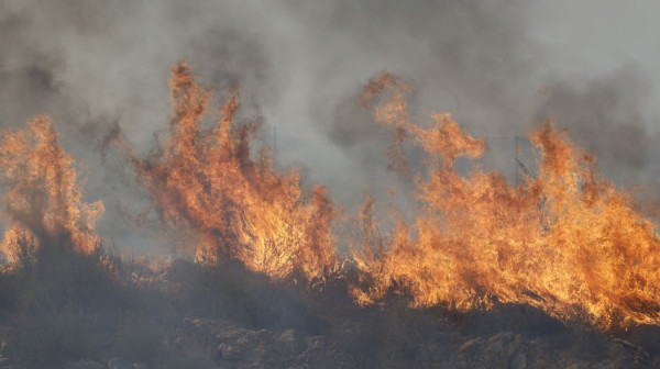 Fire breaks out in the "Stara Planina" Nature Park