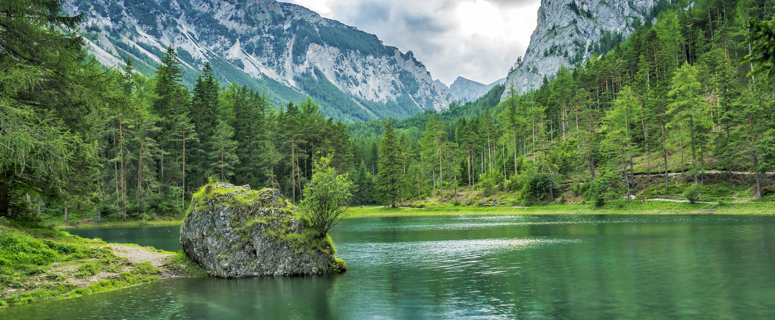 Mesecima je običan park, a onda se pretvori u podvodni svet FOTO