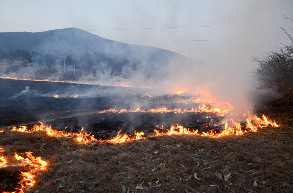 Alarmantni podaci iz Zrenjanina: Za šest meseci evidentirano čak 248 požara na otvorenom