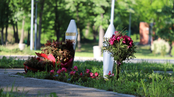 Prvo groblje za kućne ljubimce u Srbiji radi gotovo dve godine: U ponudi i "Park sećanja"