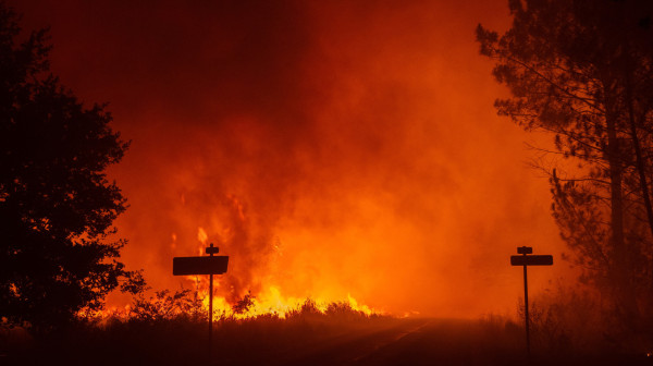 Hell near Bordeaux: Wildfire of the century engulfs France, mass evacuation underway VIDEO