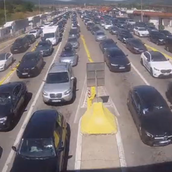 Krećete na more? Ovo vam se neće dopasti FOTO/VIDEO