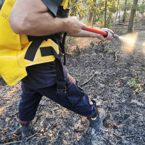 Bukti vatra na četiri lokacije kod Kraljeva; Vatrogasci ulažu nadljudske napore
