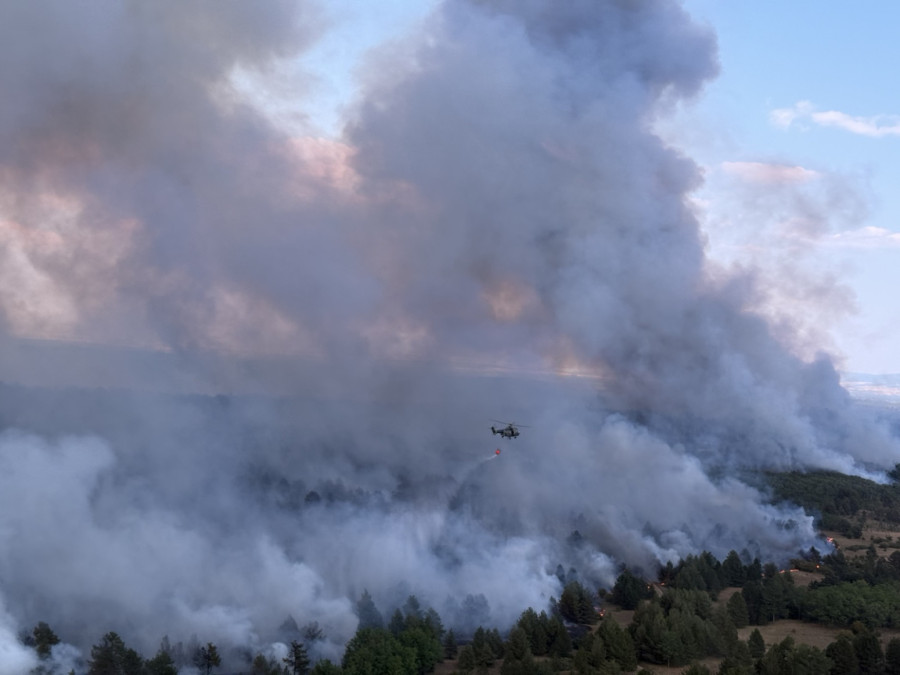 Gore požari u Srbiji: Proglašena vanredna situacija; Borba s vatrom dramatična; Cele šume u plamenu FOTO/VIDEO