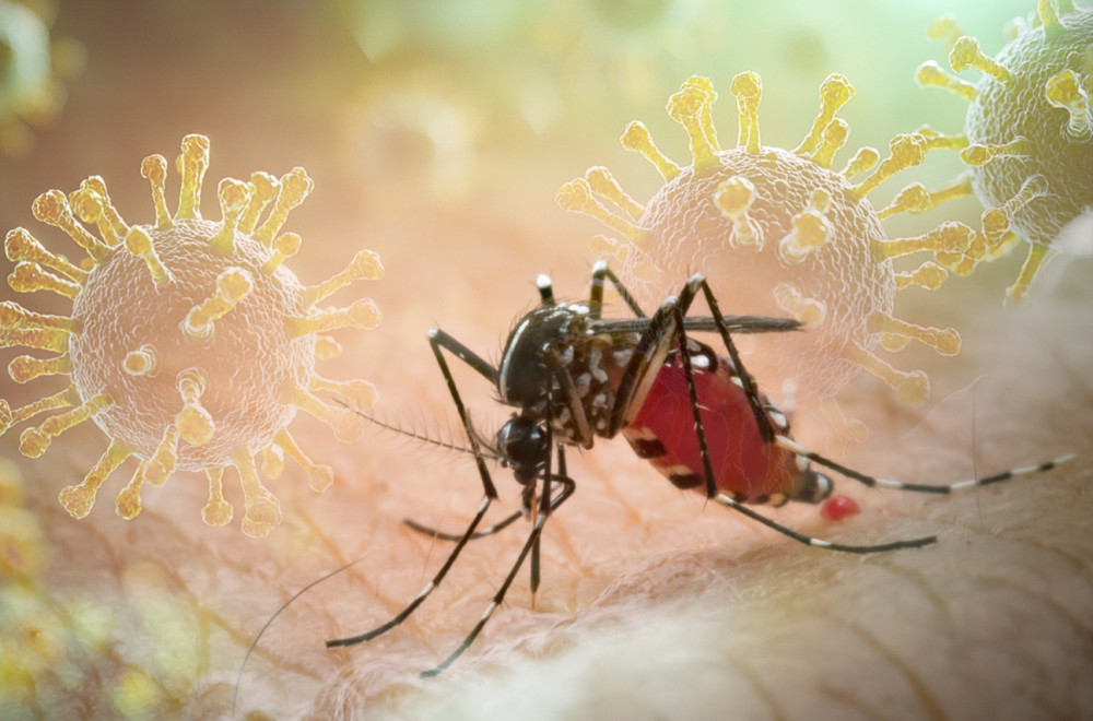 Opasan virus širi se Evropom, a za njega nema leka ni vakcine: Evo gde je najviše zaraženih