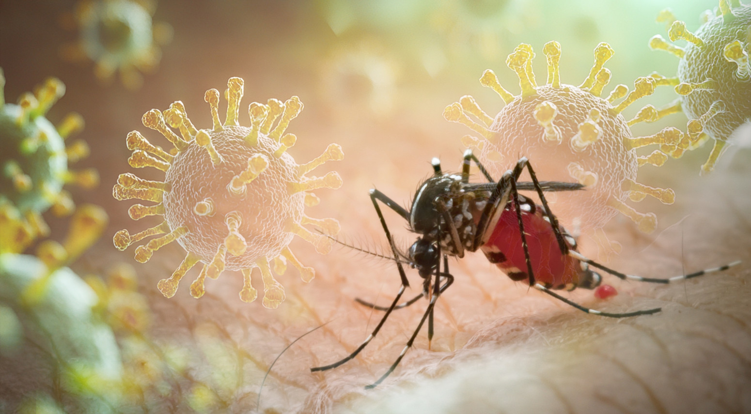 Slučaj šokirao i epidemiologa; Aleksandra Mikić zbog virusa Zapadnog Nila završila u komi VIDEO