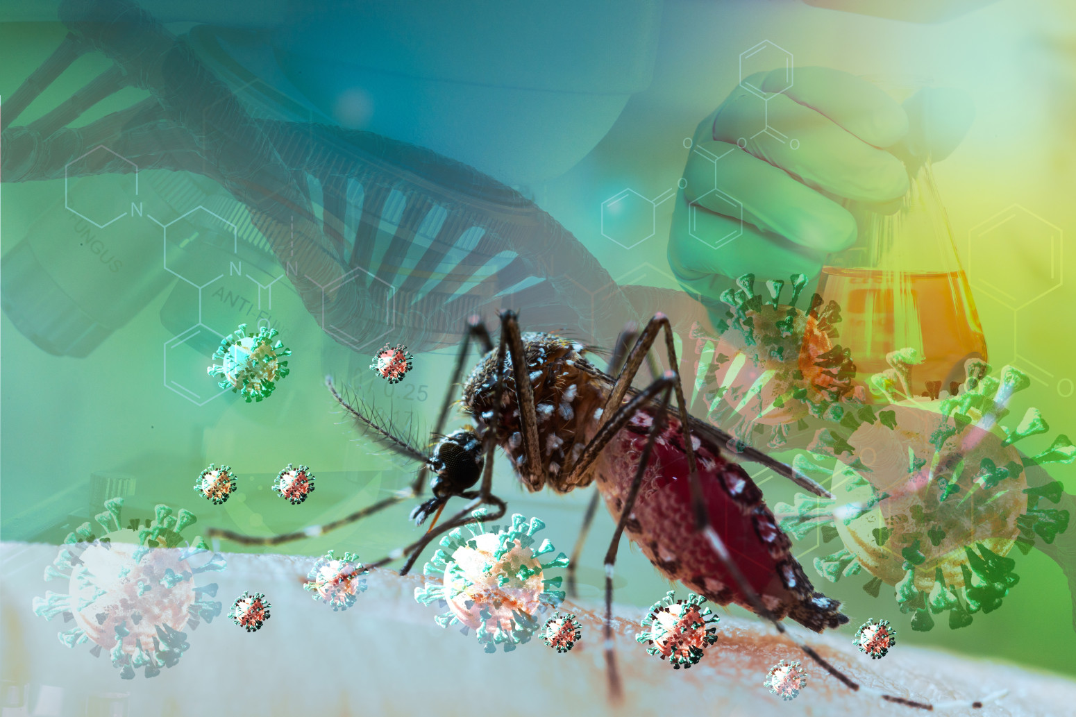 Ujed komarca bio koban za Miru Furlan: Opasan virus ponovo se širi