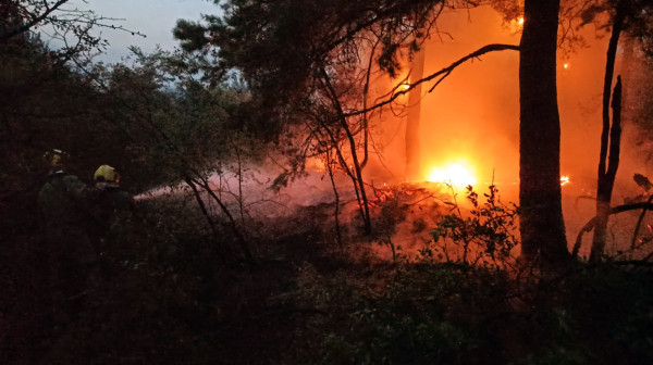 Belgrade shrouded in smoke; Apocalyptic scenes; Wildfires rage across Serbia; All units deployed PHOTO/VIDEO