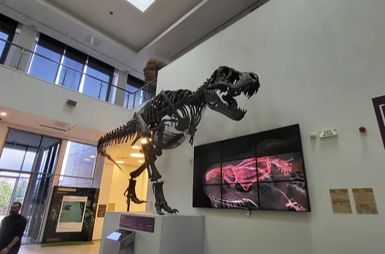 Ovo je najneobičniji prespavanjac u Srbiji: U Svilajncu se noćas spava sa dinosaursima