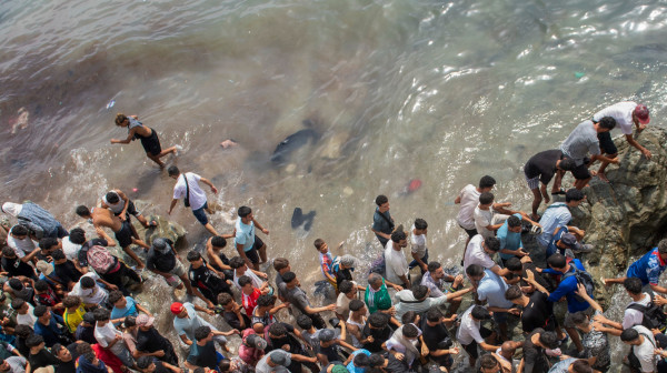 Nova migrantska ruta prema Španiji: Desetine ljudi stigle do kopna nakon haosa u Seuti