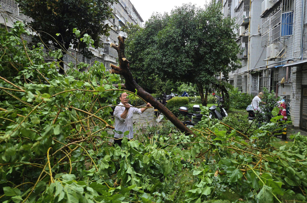Evakuisano milion ljudi; Popaljeni svi alarmi