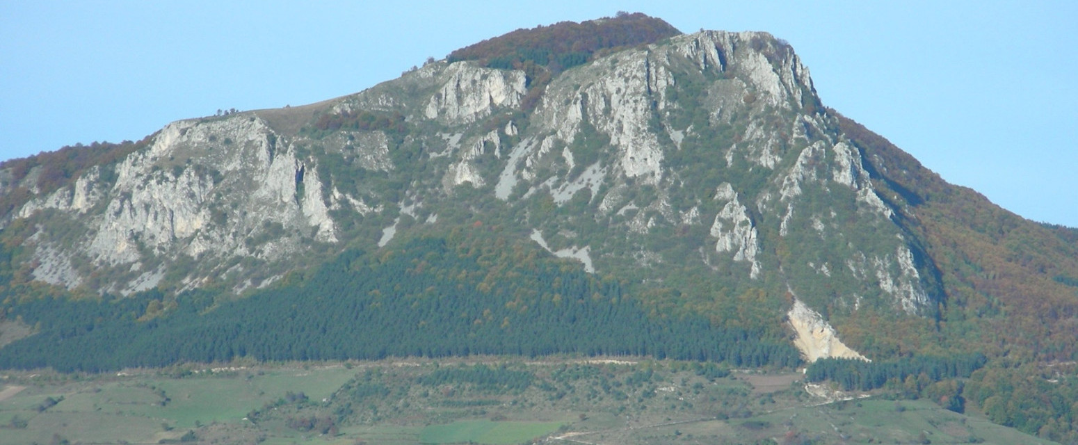 Srbija dobija još jedno zaštićeno područje: Lepote netaknute planine Mučanj biće sačuvane FOTO