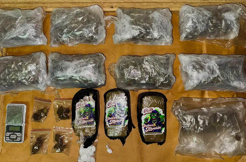 Major drug bust in Novi Sad: Criminal group arrested, several dozen kilograms of drugs seized