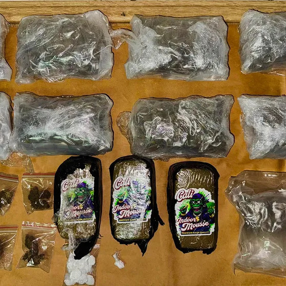 Major drug bust in Novi Sad: Criminal group arrested, several dozen kilograms of drugs seized