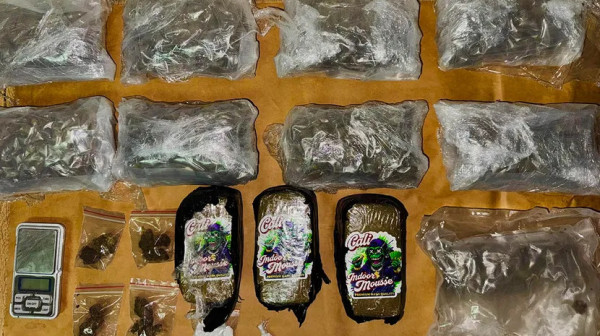 Velika zaplena u Novom Sadu: Uhapšena kriminalna grupa, zaplenjeno više kilograma droge