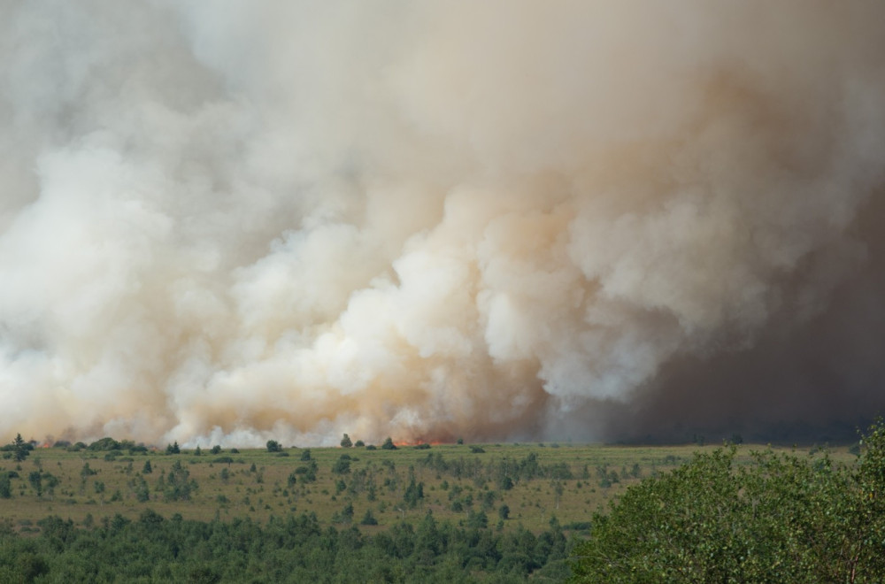 Vatra guta Belgiju; Plamen pustoši sve pred sobom; Stigao nadomak Nemačke FOTO/VIDEO