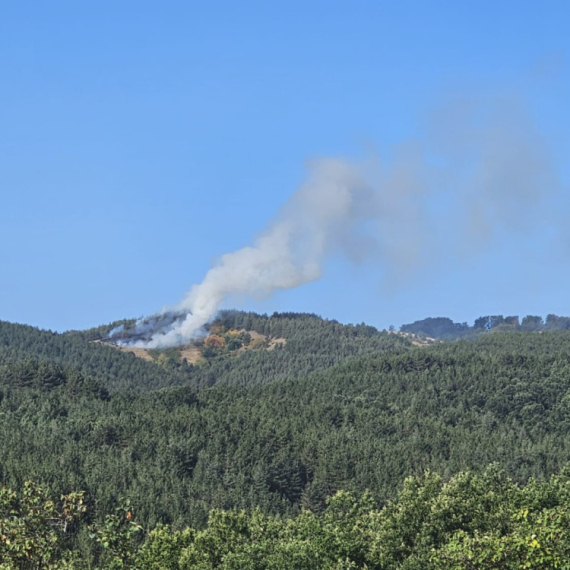 Vetar okrenuo situaciju: Požar u Deliblatskoj peščari ponovo bukti FOTO