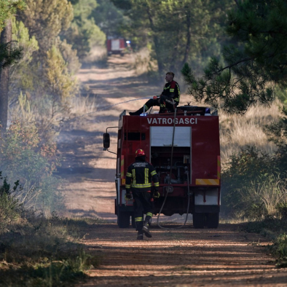 Privedena tri hrvatska državljana i Poljakinja; Podmetnuli deset požara