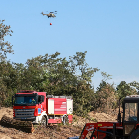 Proglašena vanredna situacija zbog požara na delu teritorije opštine Bela Crkva FOTO