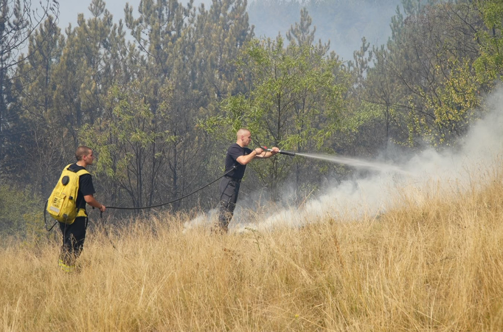 Kiša donela predah na planini Stolovi; Situacija povoljnija, ali jak vetar zadaje muke vatrogascima