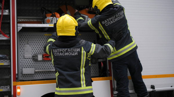 Sumnja u nameran čin: Ponovo gorele klupa i dekorativno rastinje na Keju žrtava racije u Novom Sadu