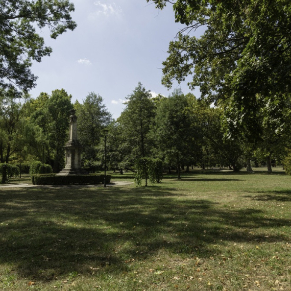 Beograd pravi zeleni štit od sve većih vrućina: Parkovi, drvoredi i šume postaju jedan sistem