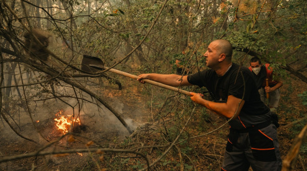 Ne prestaju sa lažima; N1 demantovao sopstveni narativ o požaru u Deliblatskoj peščari