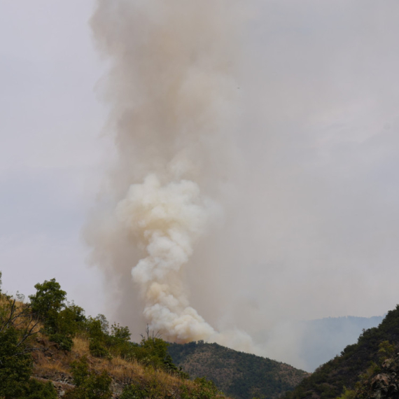 Na planini Stolovi požari bukte danima: Jak vetar otežava gašenje; "Teren je jako opasan" FOTO