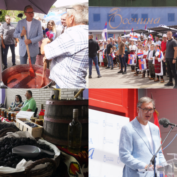 Vučić u Osečini otvorio sajam šljiva: "Plod koji je mnogo više od voća, naša najvažnija marka" FOTO/VIDEO