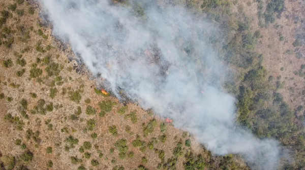 Požar u Dragačevu, meštani mole za helikopter: Vatra se brzo širi, nepristupačan teren otežava posao FOTO