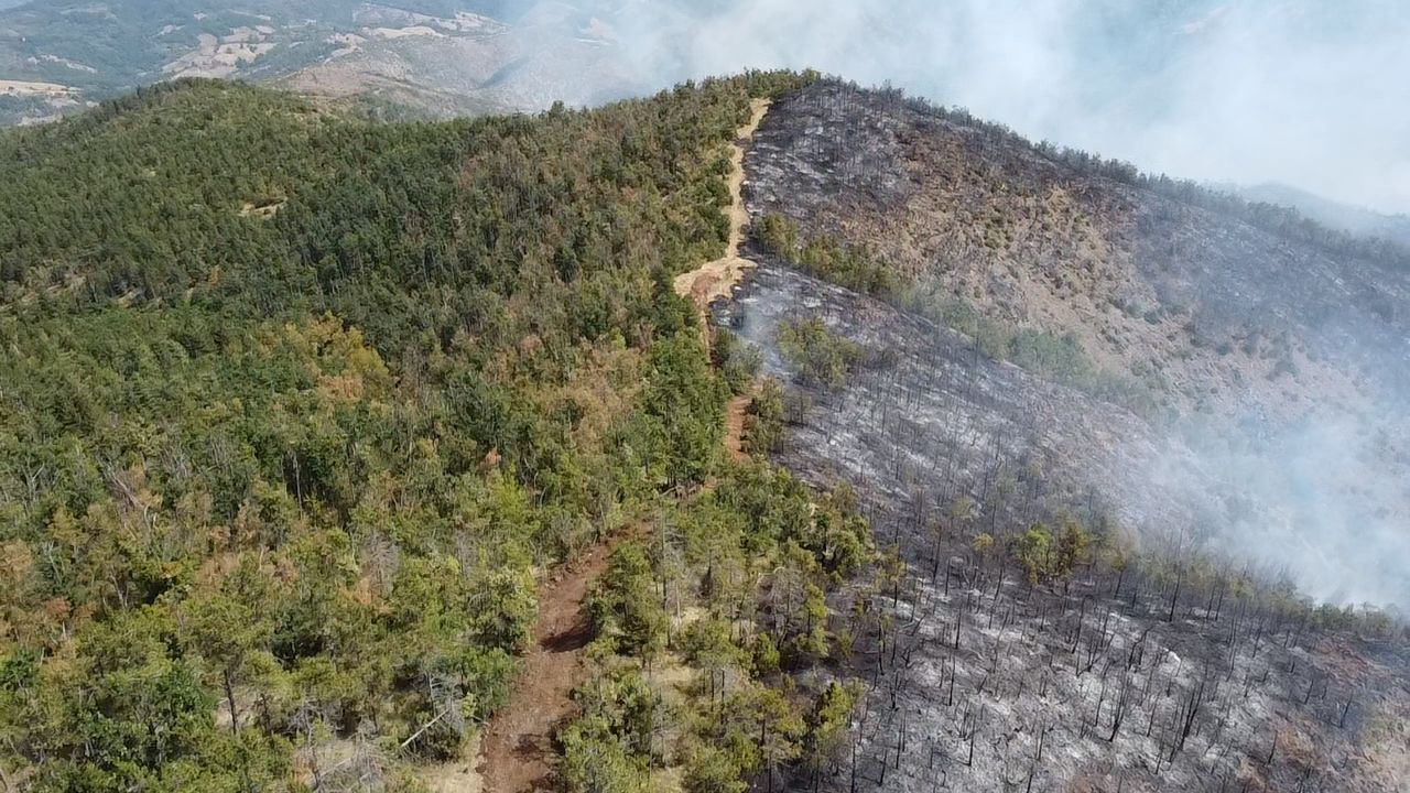 Niz požara zahvatio Republiku Srpsku, BiH i Crnu Goru; Dim stigao do Dalmacije