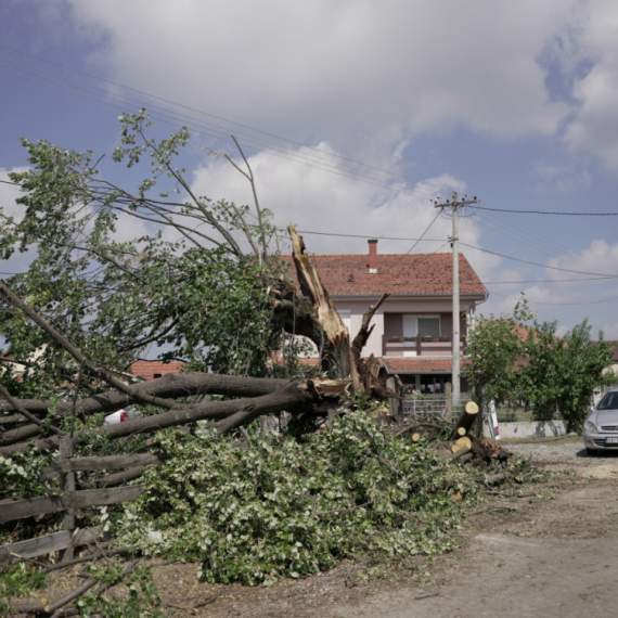 Nevreme u Gornjoj Gorevnici napravilo haos: Jak vetar nosio krovove, čupao drveće FOTO