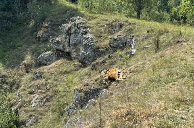 Proglašena vanredna situacija u celoj Sjenici: Dugotrajna suša ugrozila snabdevanje vodom