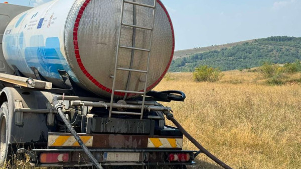 Tropske temperature na Pešteru: Meštani žedni i očajni, "Nikad nije bilo gore, molimo se Bogu za malo kiše"