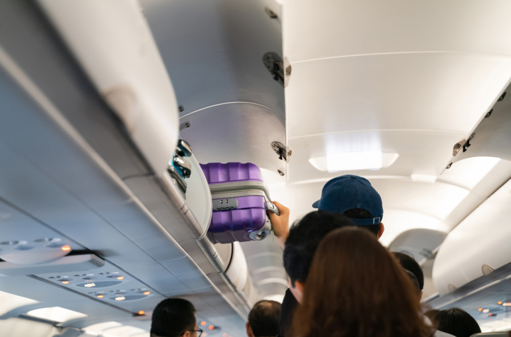 Panika u avionu: Zmija izašla iz ručnog prtljaga FOTO