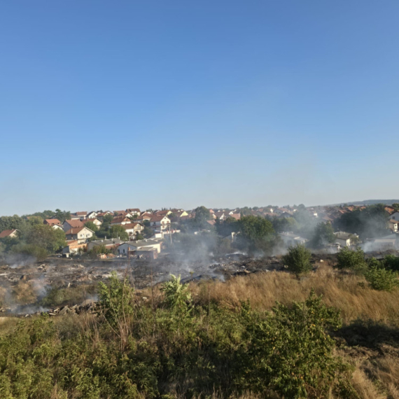 Lokalizovan požar u Smederevskoj Palanci FOTO/VIDEO