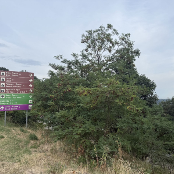 Otkačila se prikolica, pa napravila pravu pometnju: Vozila na Fruškoj gori nepomično stoje FOTO