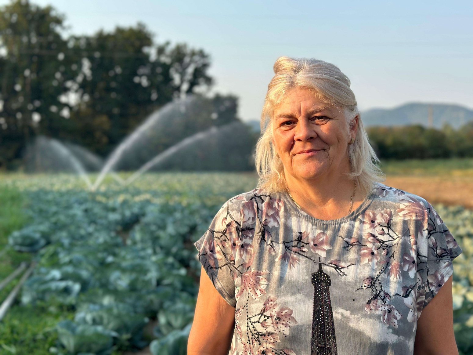 Kupus već glaviči podno Jelice: Sprema se rod za zimnicu, čačanski ratari očekuju dobar rod i cenu