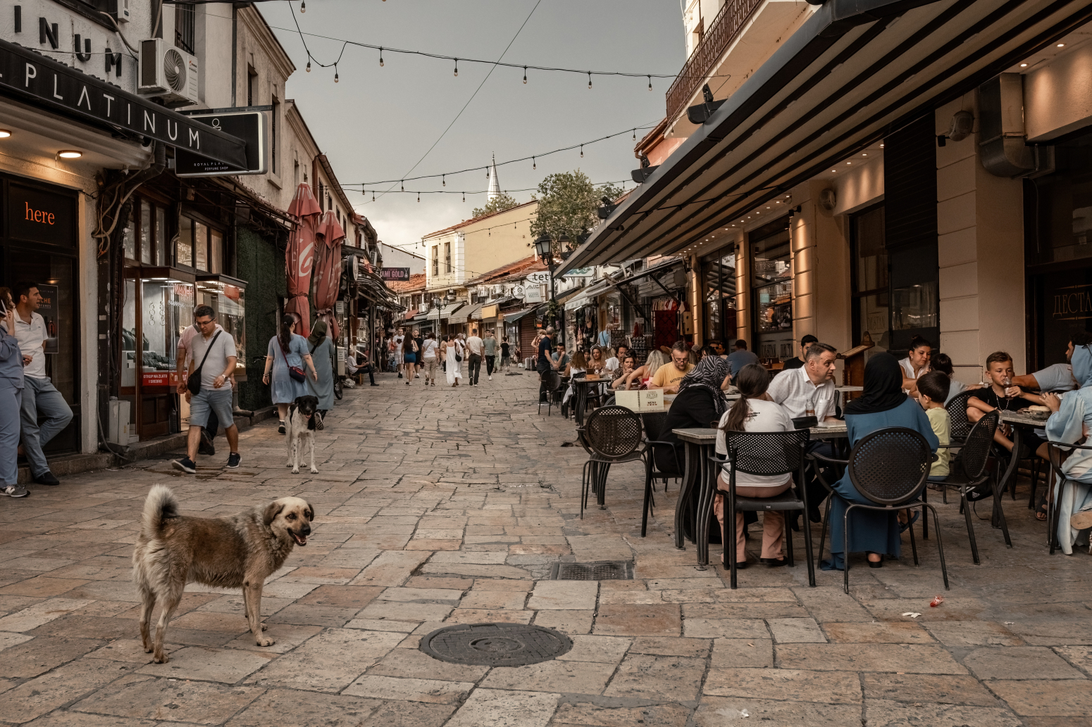 Beograd nudi sve: Srpska prestonica među pet destinacija koje vredi posetiti ove jeseni FOTO