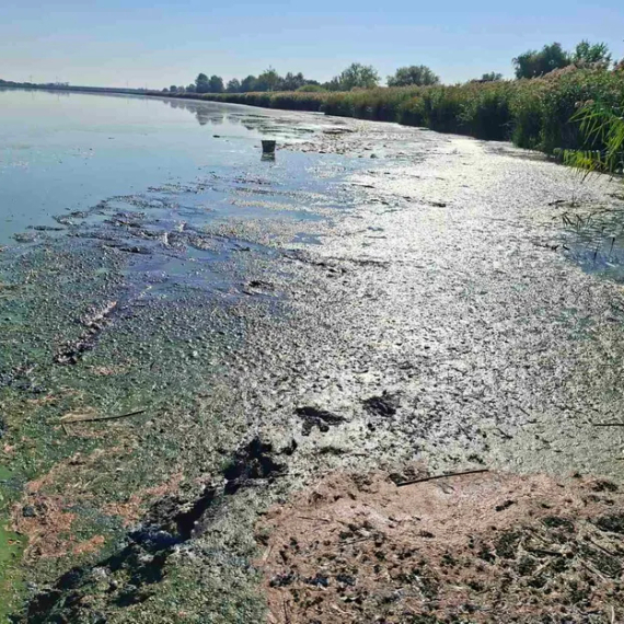Tužne slike: Jezero zbog suše ostalo bez dotoka vode, živi svet se guši FOTO